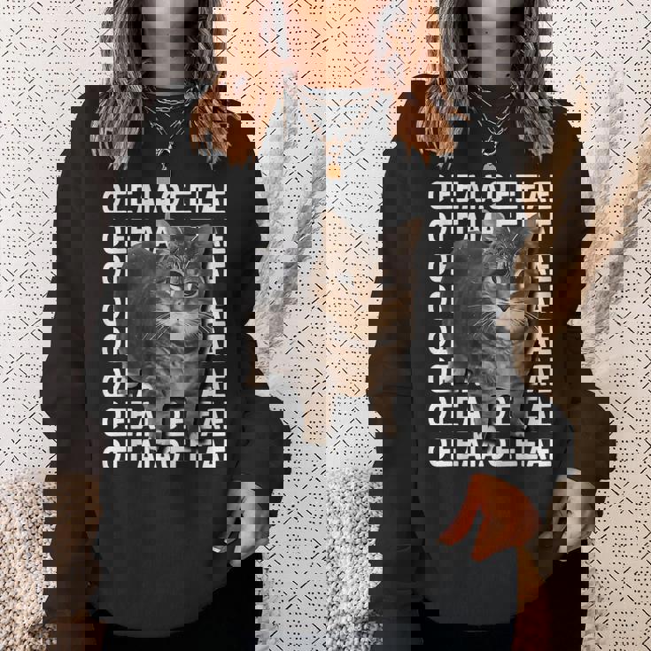 スピニングキャットミーム Oiiaoiia キャットミーム スウェットシャツ 彼女への贈り物