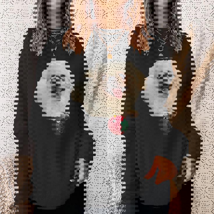 スマイル ペキニーズサニー スウェットシャツ 彼女への贈り物