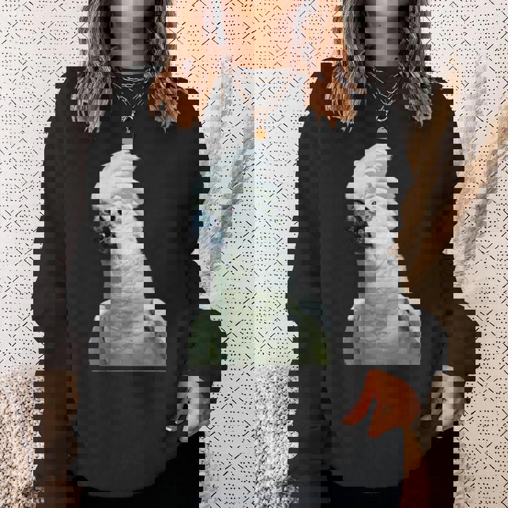 タイハクオウム 鳥 オウム スウェットシャツ 彼女への贈り物