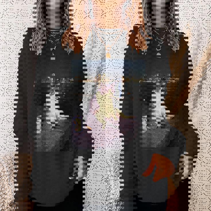 タバコ 子猫 おもしろい 喫煙 猫 ミーム バカ 脳腐 スウェットシャツ 彼女への贈り物