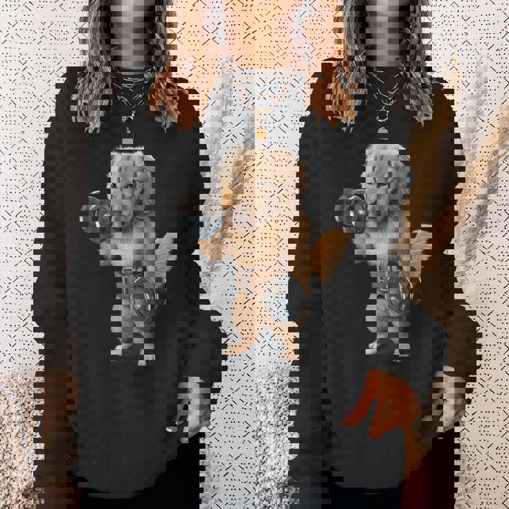 ダックスフンド 犬の筋肉トレーニング ダンベル付き フィットネスジム スウェットシャツ 彼女への贈り物