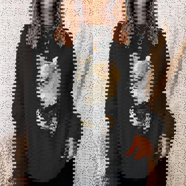 チワワ インポケット チワワ 長髪 チワワ 犬好き スウェットシャツ 彼女への贈り物