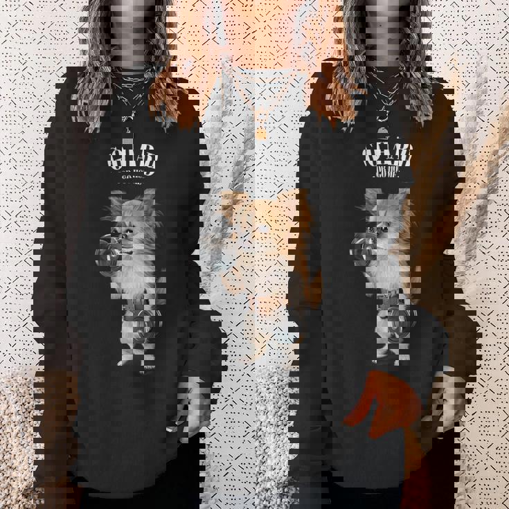 チワワ 犬の筋肉トレーニング ダンベル付き フィットネスジム スウェットシャツ 彼女への贈り物