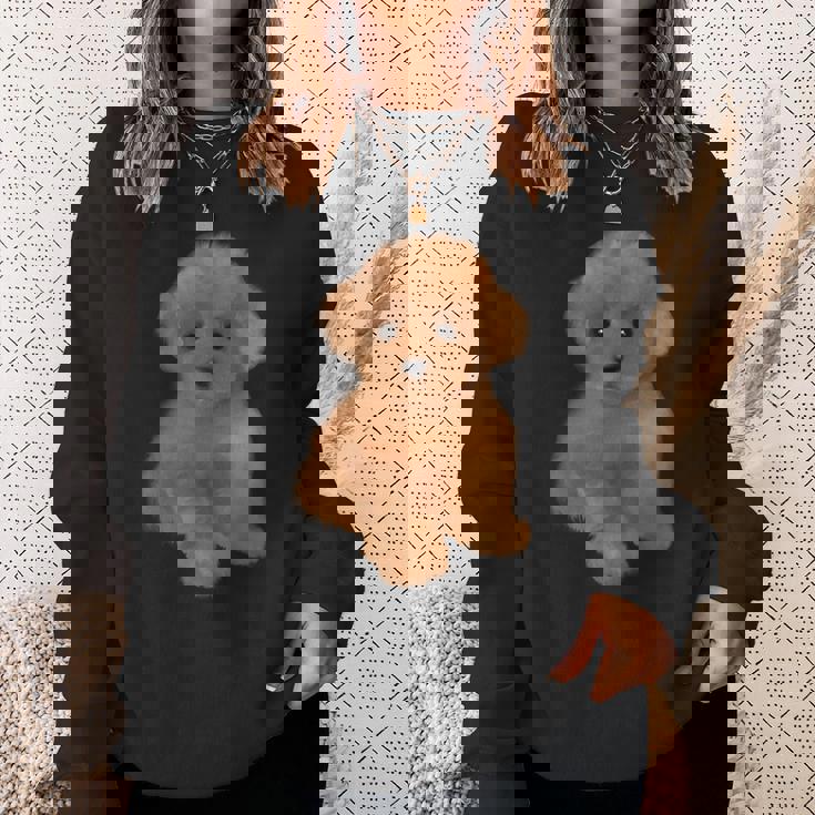 トイプードル 犬種 ミニプードル 子犬 スウェットシャツ 彼女への贈り物