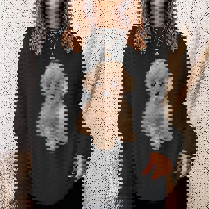 トイプードル犬、品種、ミニプードル子犬 スウェットシャツ 彼女への贈り物