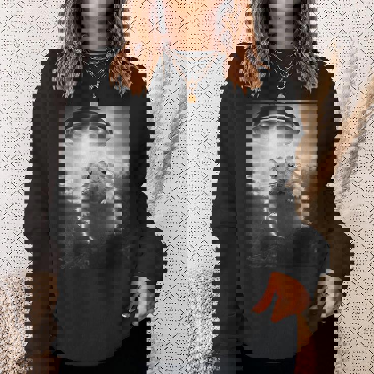 ハムスターを追うufo、クレイジーな動物、面白いハムスター スウェットシャツ 彼女への贈り物