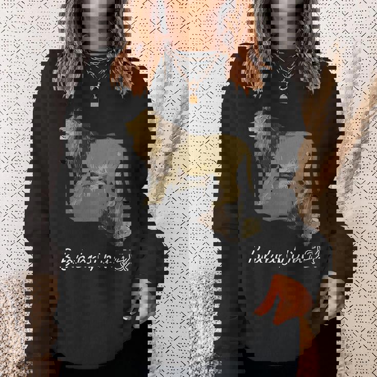 バーバリライオン スウェットシャツ 彼女への贈り物