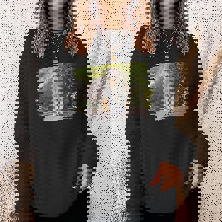 パタス・モンキー スウェットシャツ 彼女への贈り物