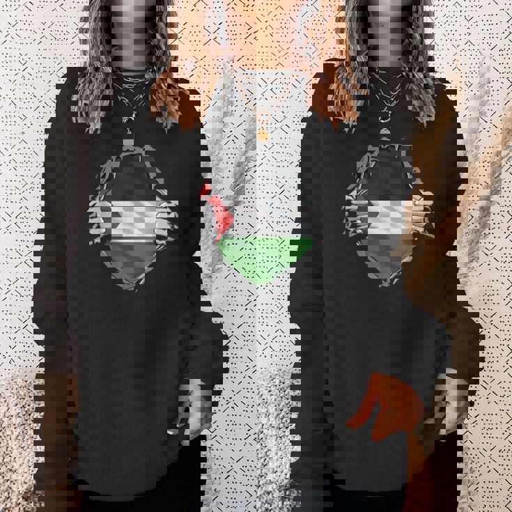 パレスチナシャツ パレスチナ国旗 アラビアのルーツ 遺産 Dna スウェットシャツ 彼女への贈り物