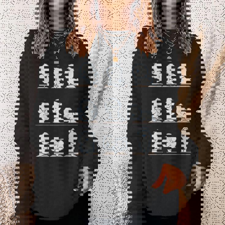 ビションフリーゼヨガ スウェットシャツ 彼女への贈り物