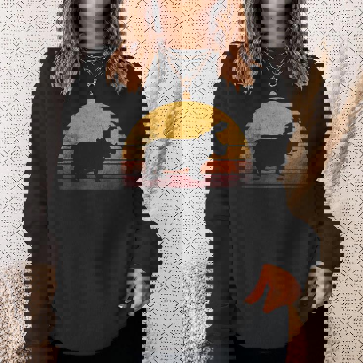 ビンテージ カバ デザイン レトロな日没カバ スウェットシャツ 彼女への贈り物