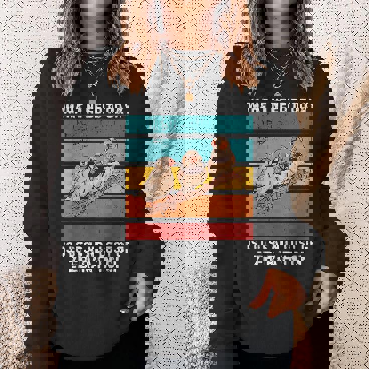 ビンテージ今日必要なのはキンカチョウがたくさん スウェットシャツ 彼女への贈り物