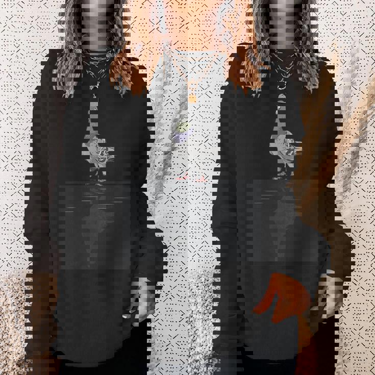 ピジョン メンズ レディース キッズ ハト愛好家 ピジョン スウェットシャツ 彼女への贈り物