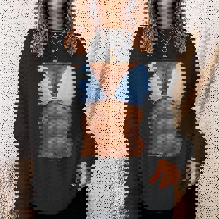 フェイク アブス ファニービキニ ボディマッスル 6パック 3D スウェットシャツ 彼女への贈り物