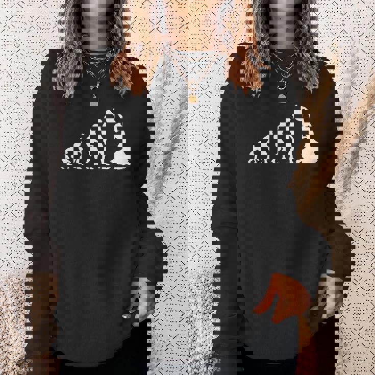 フラメンコダンス エボリューション スペイン スウェットシャツ 彼女への贈り物