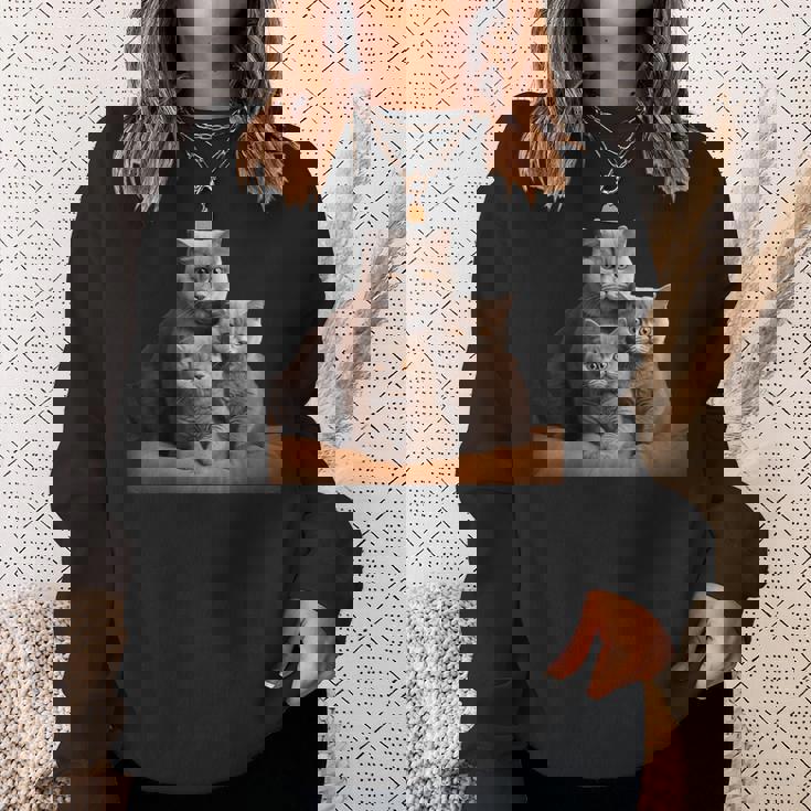 ブリティッシュショートヘアキャット 母の日 ブリティッシュショートヘアキャット スウェットシャツ 彼女への贈り物