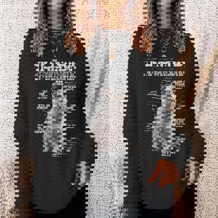 ブリティッシュショートヘアーt スウェットシャツ 彼女への贈り物