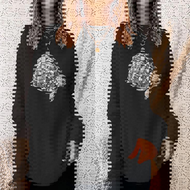 ヘルマンリクガメ スウェットシャツ 彼女への贈り物