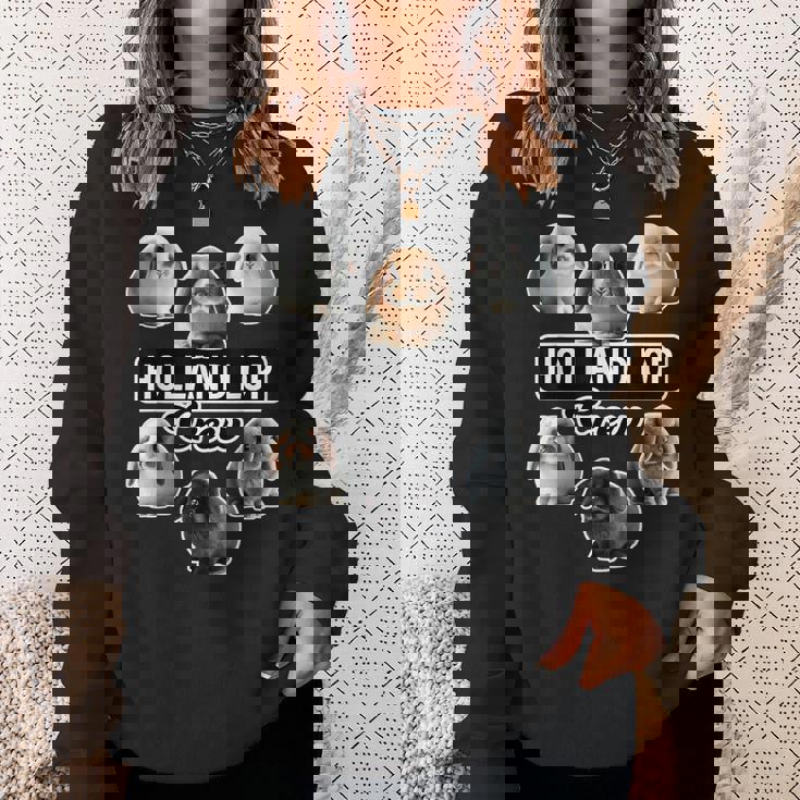 ホーランドロップラビットクルーファニーバニー スウェットシャツ 彼女への贈り物