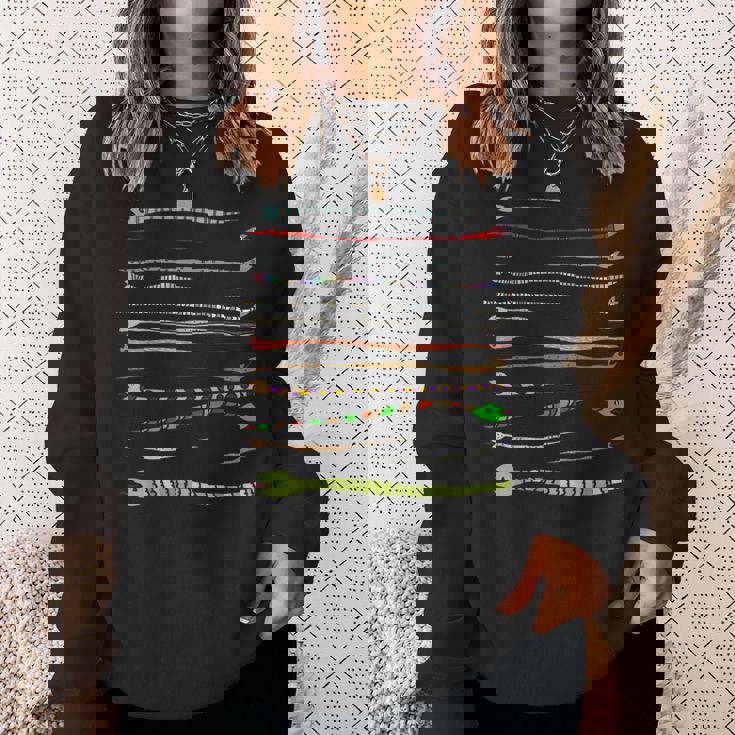 ボーダー カラフル Pop 爬虫類 かわいい オリジナル ヘビ柄 手描き フロント ボーダー イラスト おもしろ スウェットシャツ 彼女への贈り物