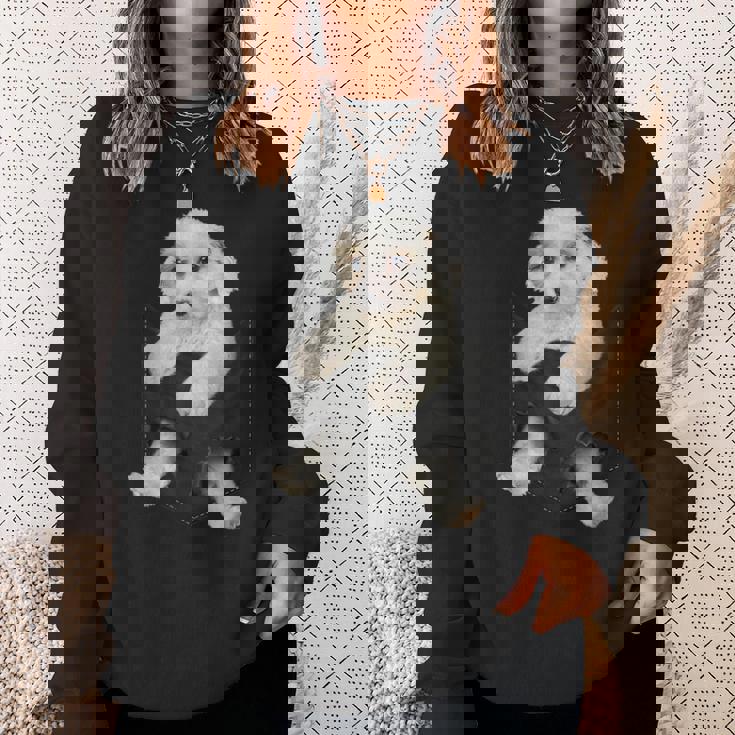 ポケットに入った面白いcavachon Dog Cavachon Dog好きのための スウェットシャツ 彼女への贈り物