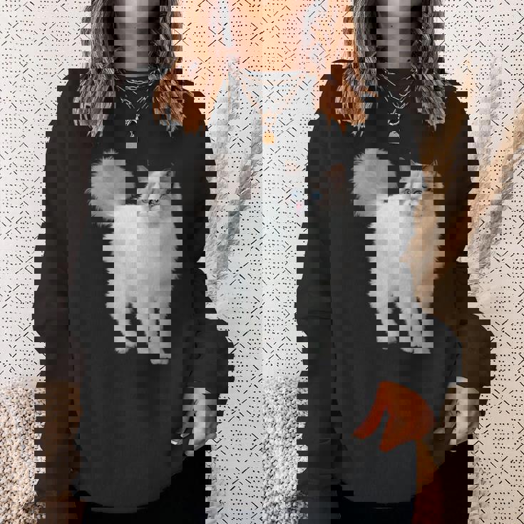 ラグドール 猫のポートレート ラグドール キャットヘッド ラグドール 猫の顔 スウェットシャツ 彼女への贈り物