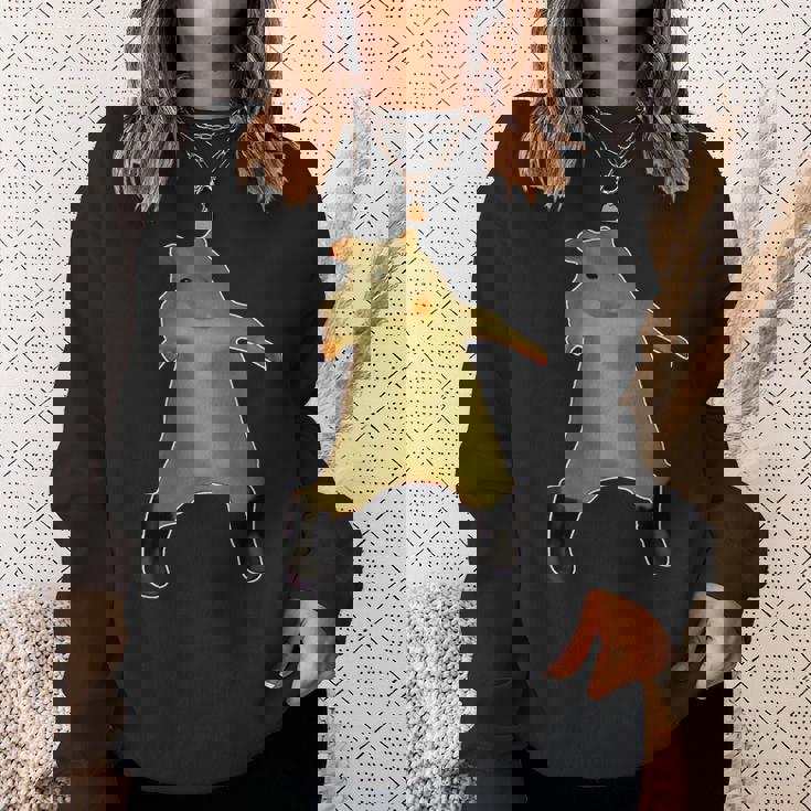 ラットダンスミーム2025面白いトレンディRatdance スウェットシャツ 彼女への贈り物