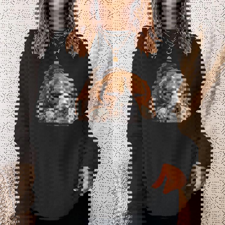 レイジービーグル スウェットシャツ 彼女への贈り物