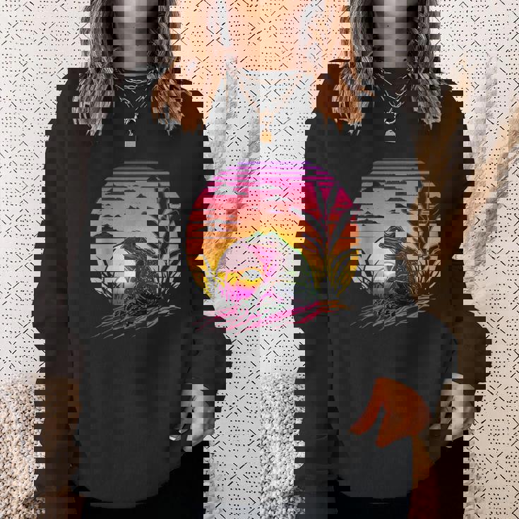 レトロなエステティックフロッグ スウェットシャツ 彼女への贈り物