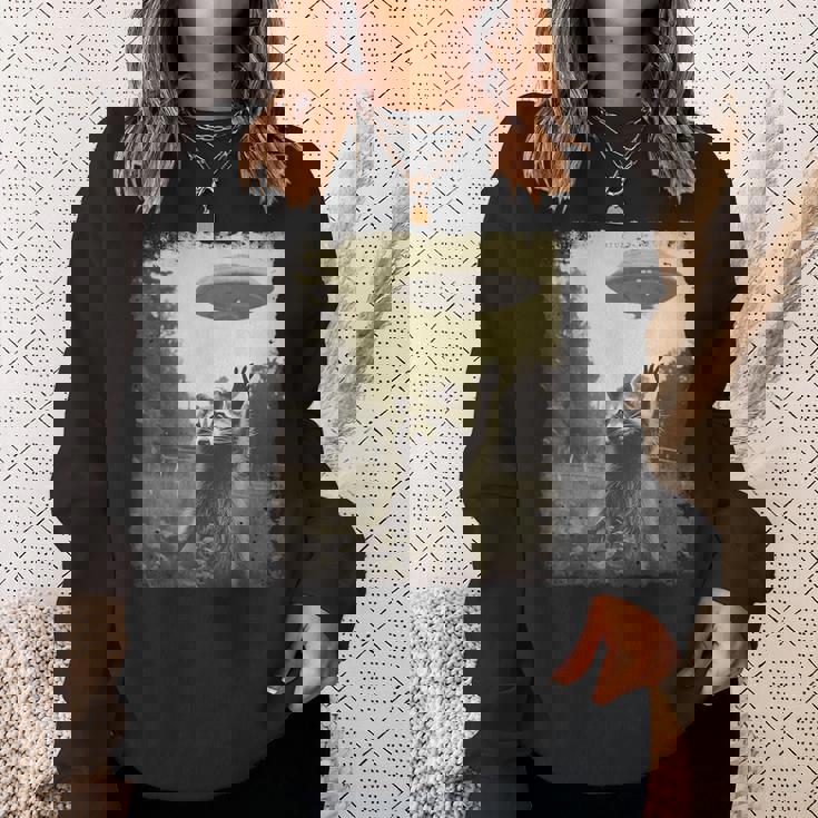 ヴィンテージ ヒップスター レトロ Hip Hop Uap ストリートウェア エイリアン 面白い Ufo ラクーン スウェットシャツ 彼女への贈り物