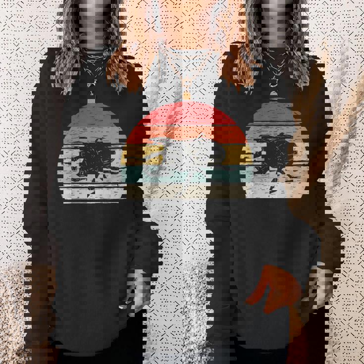 ヴィンテージ レトロ カブトムシ 昆虫 スウェットシャツ 彼女への贈り物