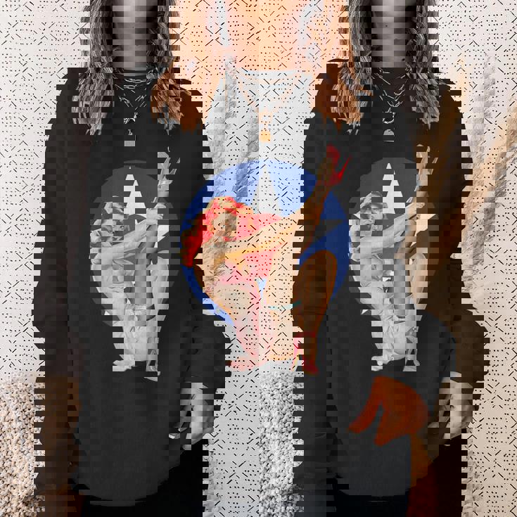 ヴィンテージ 愛国心ピンナップガール スウェットシャツ 彼女への贈り物