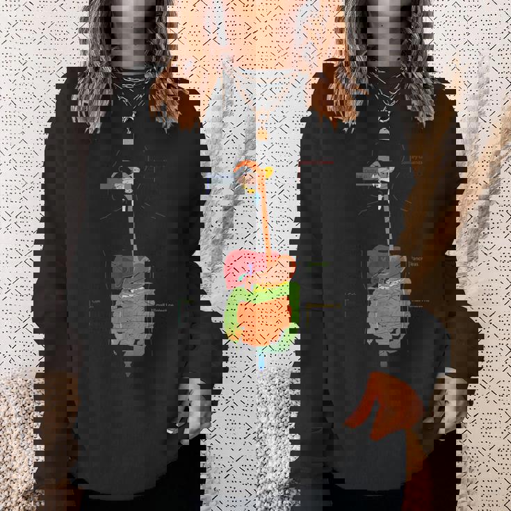 人体消化器系消化管の解剖学 スウェットシャツ 彼女への贈り物