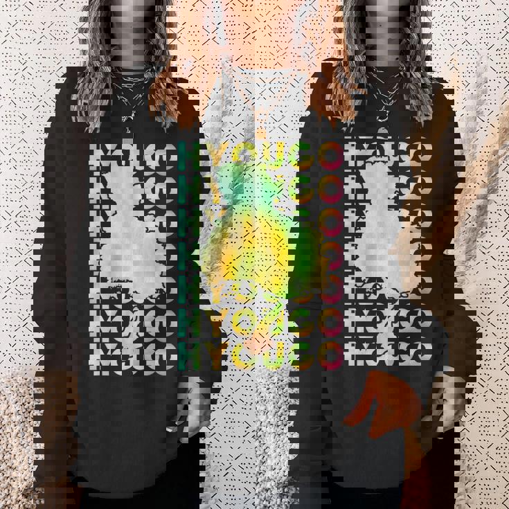 兵庫 面白tシャツ 兵庫県 面白いtシャツ 文字入り メンズ おもしろ 面白い 服 オリジナル おもしろグッズ ネタ 県 スウェットシャツ 彼女への贈り物