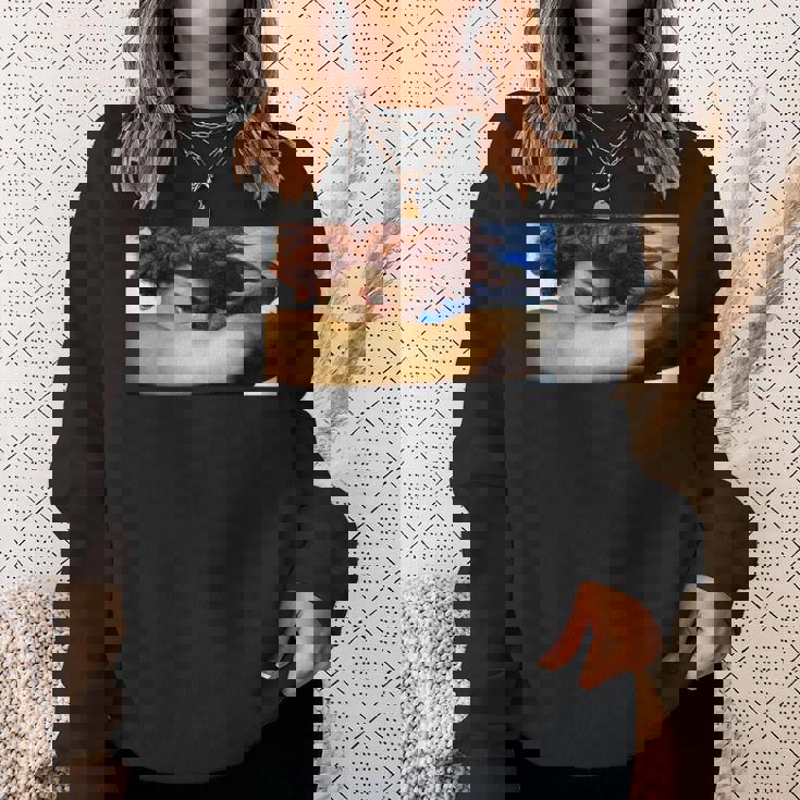 堕天使ルシファー・アレクサンドル・カバネル・ルネサンス ゴシック スウェットシャツ 彼女への贈り物