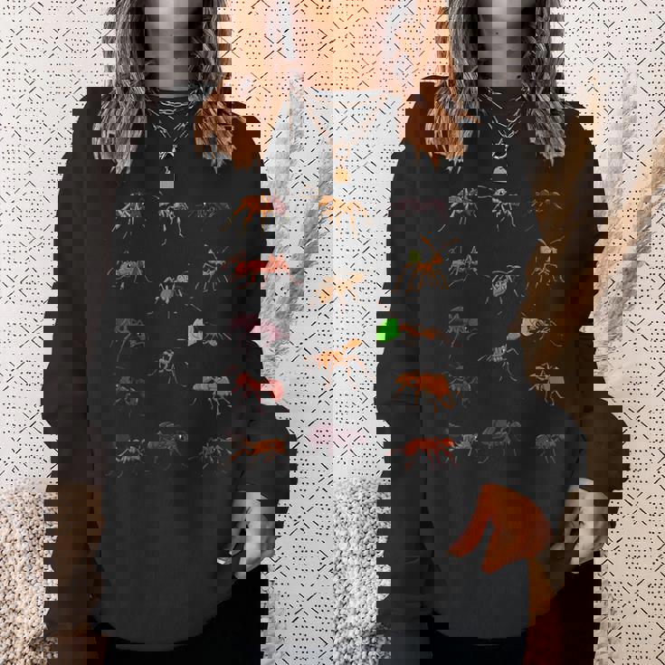 多くの種類のアリ スウェットシャツ 彼女への贈り物