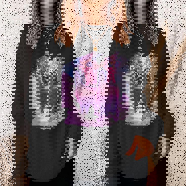 宇宙で虹色のラマに乗る子猫 スウェットシャツ 彼女への贈り物