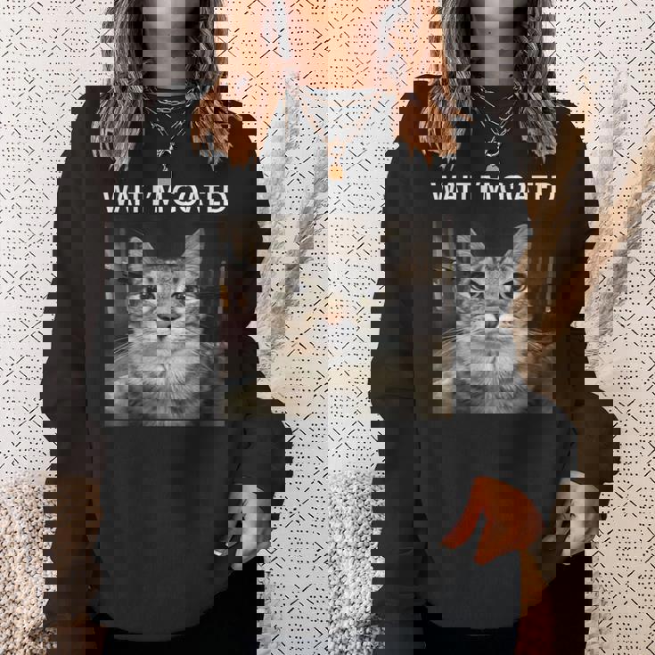 待ってよヤギの愚かな猫のミーム スウェットシャツ 彼女への贈り物