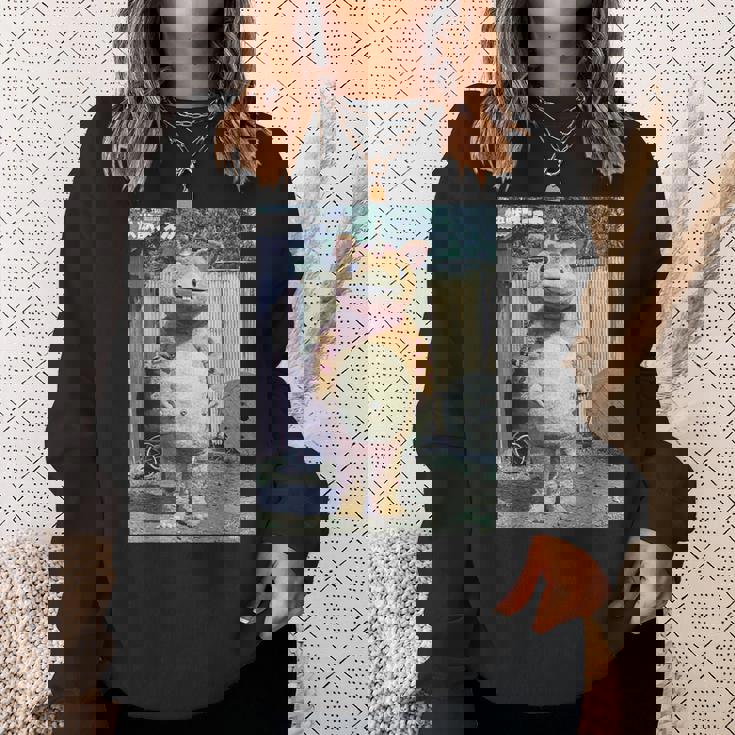 快獣ブースカシリーズ リアルスチール カラー スウェットシャツ 彼女への贈り物