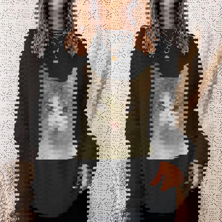 怒っている猫 リアル ミーム ウイルス インターネット スウェットシャツ 彼女への贈り物