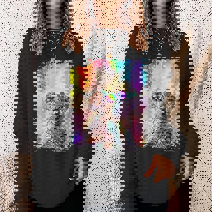 愛のハートのメガネをかけているレインボーコアラ スウェットシャツ 彼女への贈り物