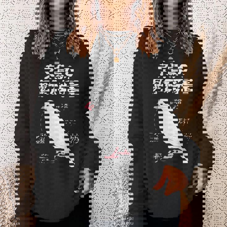 文鳥の解体新書 文鳥好き 文鳥の飼い主 文鳥 桜文鳥 文鳥の一覧 白文鳥 頬黒文鳥 シナモン文鳥 文鳥の種類 文鳥 スウェットシャツ 彼女への贈り物