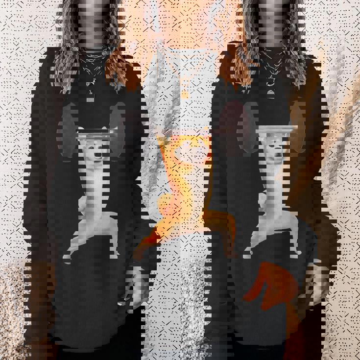 柴犬 イヌ 面白いtシャツ 犬 筋トレ 文字入り メンズ 半袖 服 おもしろグッズ 文字tシャツ ネタ ブラック スウェットシャツ 彼女への贈り物