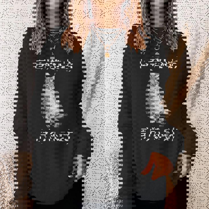 猫 モテるデブ 面白いtシャツ 文字入り メンズ おもしろ 面白い 服 オリジナル おもしろグッズ 文字 スウェットシャツ 彼女への贈り物