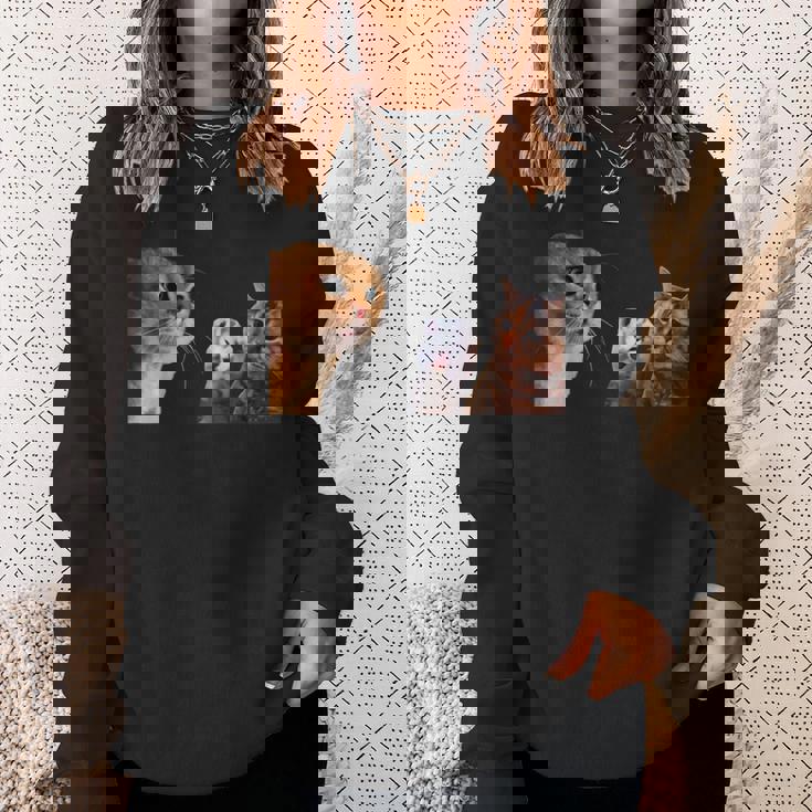 猫ミーム 説教する猫 怒られる猫 泣き叫ぶ猫 説教 怒る かわいい 面白い 人気 楽しい ハッピー スウェットシャツ 彼女への贈り物