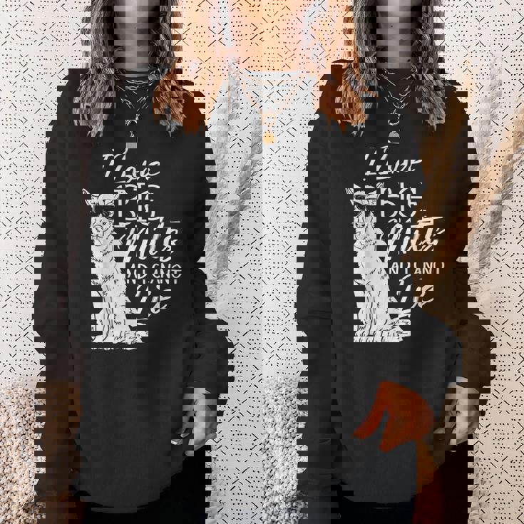 私は大きな雑種が大好きで、犬救助犬シェルターに嘘はつかない スウェットシャツ 彼女への贈り物