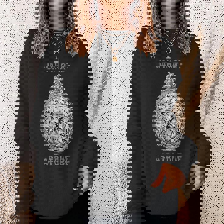 算数科学アストロラーベ、数学科学アート、占星術 スウェットシャツ 彼女への贈り物