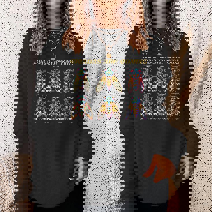 蝉がやってくる、蝉ゲドン2024 蝉 スウェットシャツ 彼女への贈り物