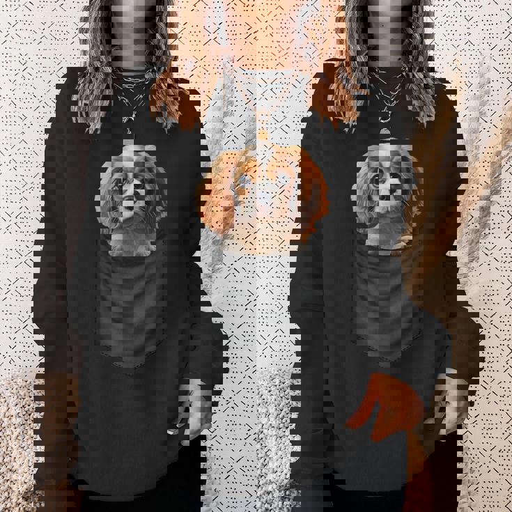 面白いtシャツ キャバリア ポケット イヌ わんこ メンズ 犬好き グッズ おもしろ 面白い 服 ネタ スウェットシャツ 彼女への贈り物