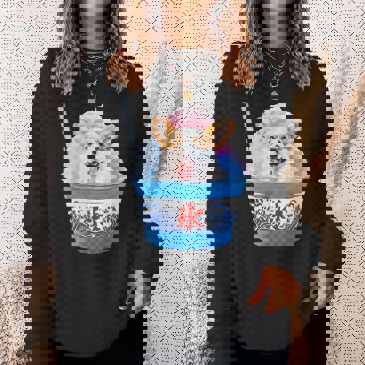 面白いtシャツ コーギー かき氷 イヌ メンズ 犬好き グッズ かわいい おもしろ 面白い 服 ネタ 夏 スウェットシャツ 彼女への贈り物